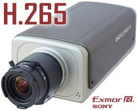 Внутренняя корпусная IP-видеокамера Beward B5650